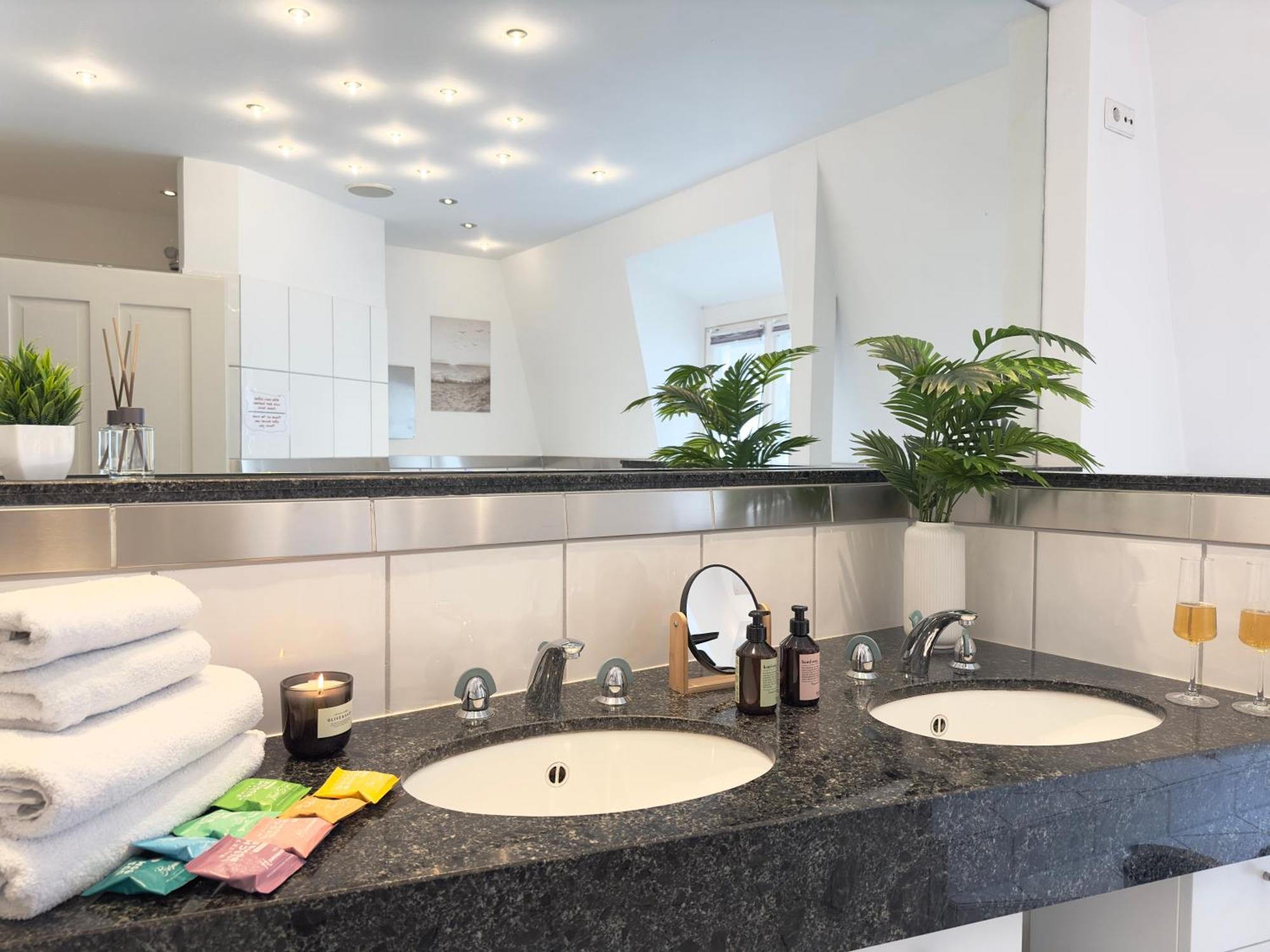 Luxury Old Town Suite - Xxl Terrasse & Xxl Penthouse Heidelberg Eksteriør bilde